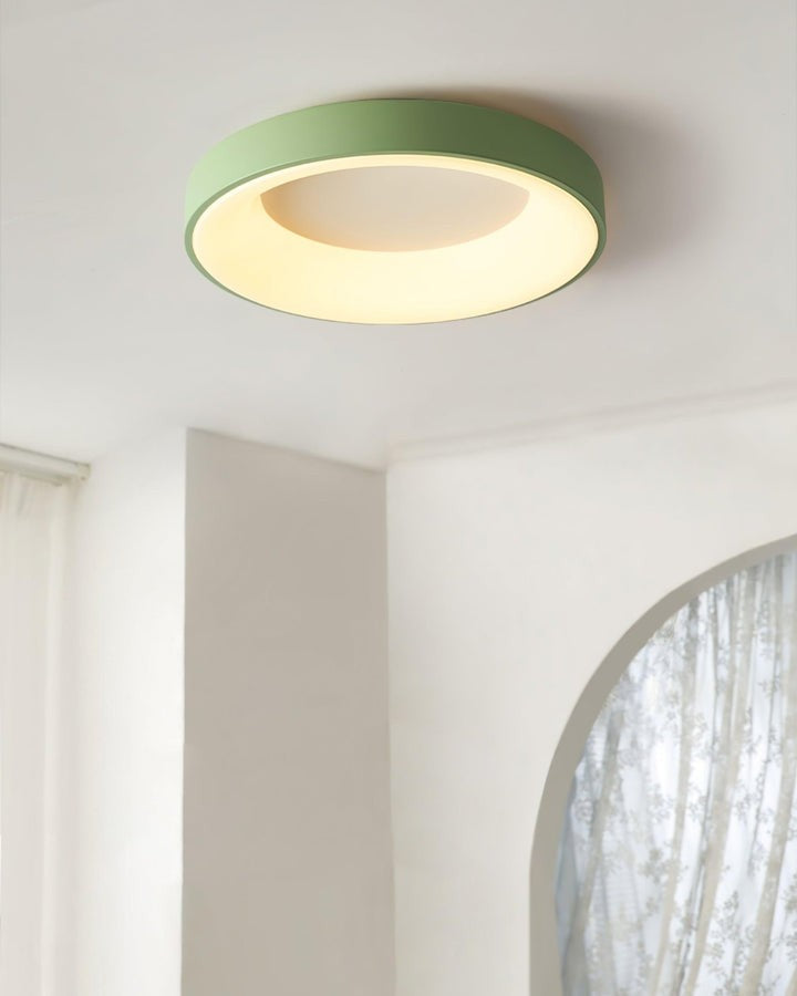 Modern Slim Iron & Acrylic LED Ceiling Light