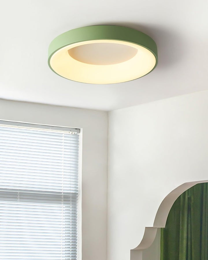 Modern Slim Iron & Acrylic LED Ceiling Light