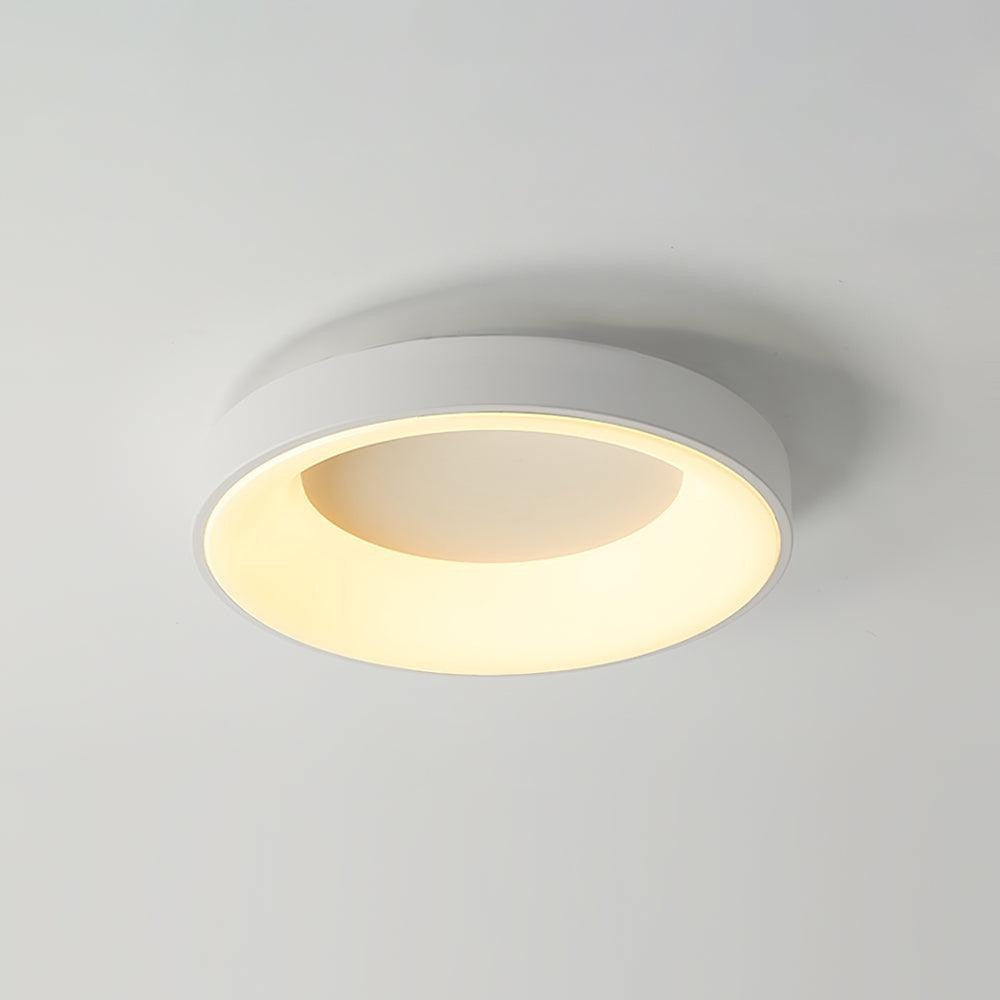 Modern Slim Iron & Acrylic LED Ceiling Light
