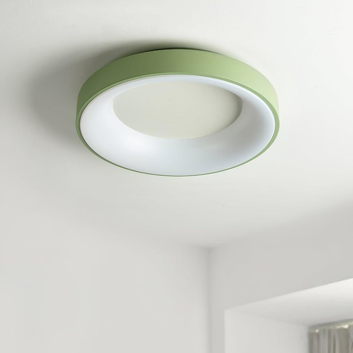 Modern Slim Iron & Acrylic LED Ceiling Light