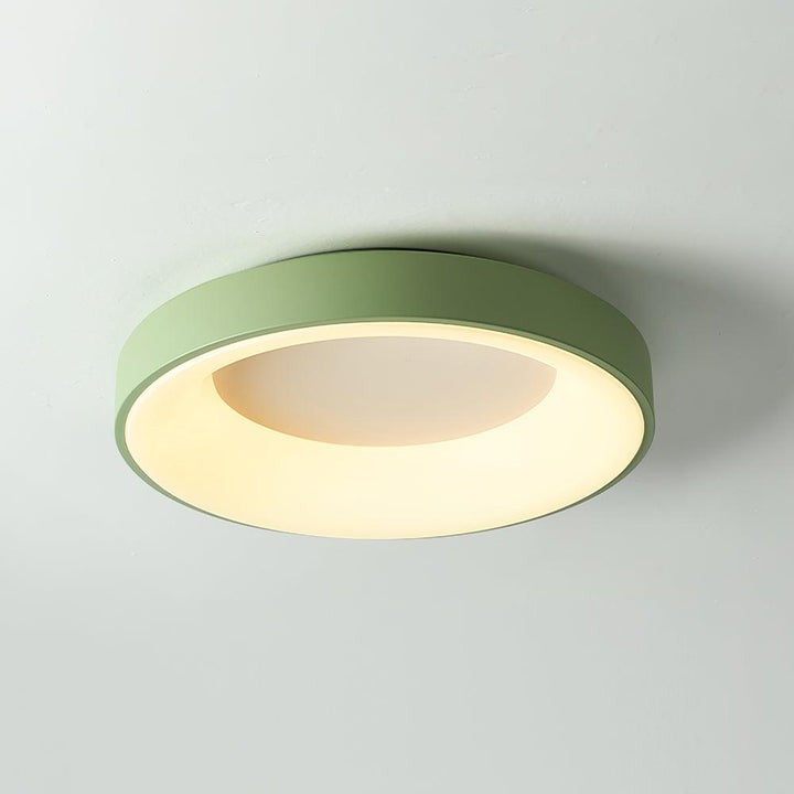 Modern Slim Iron & Acrylic LED Ceiling Light