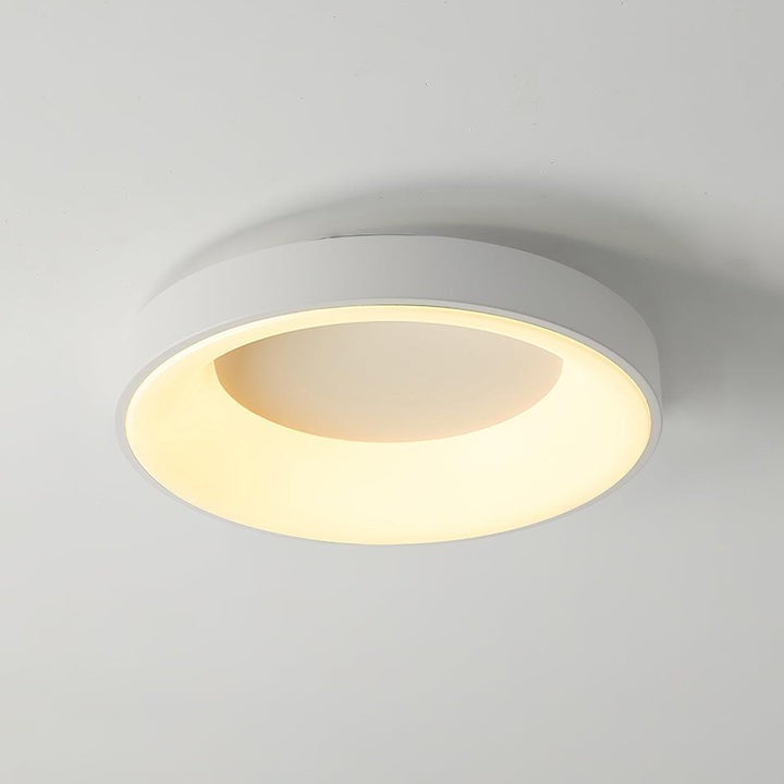 Modern Slim Iron & Acrylic LED Ceiling Light