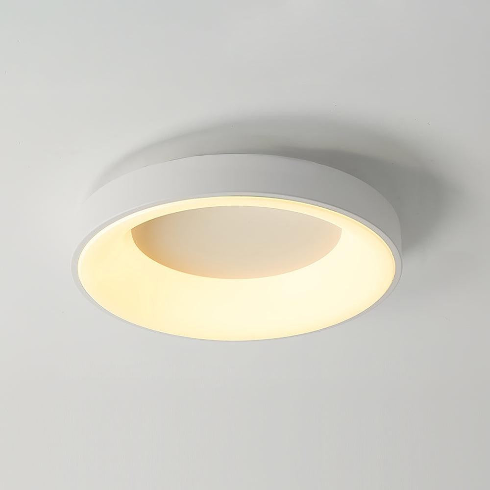 Modern Slim Iron & Acrylic LED Ceiling Light