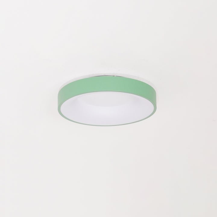 Modern Slim Iron & Acrylic LED Ceiling Light