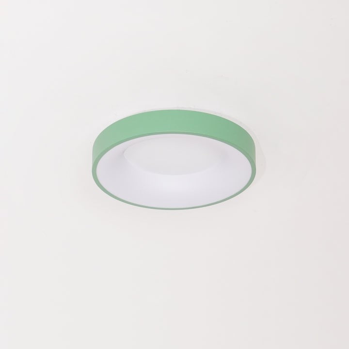 Modern Slim Iron & Acrylic LED Ceiling Light