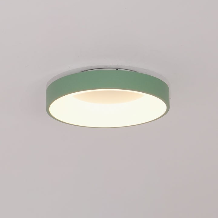 Modern Slim Iron & Acrylic LED Ceiling Light