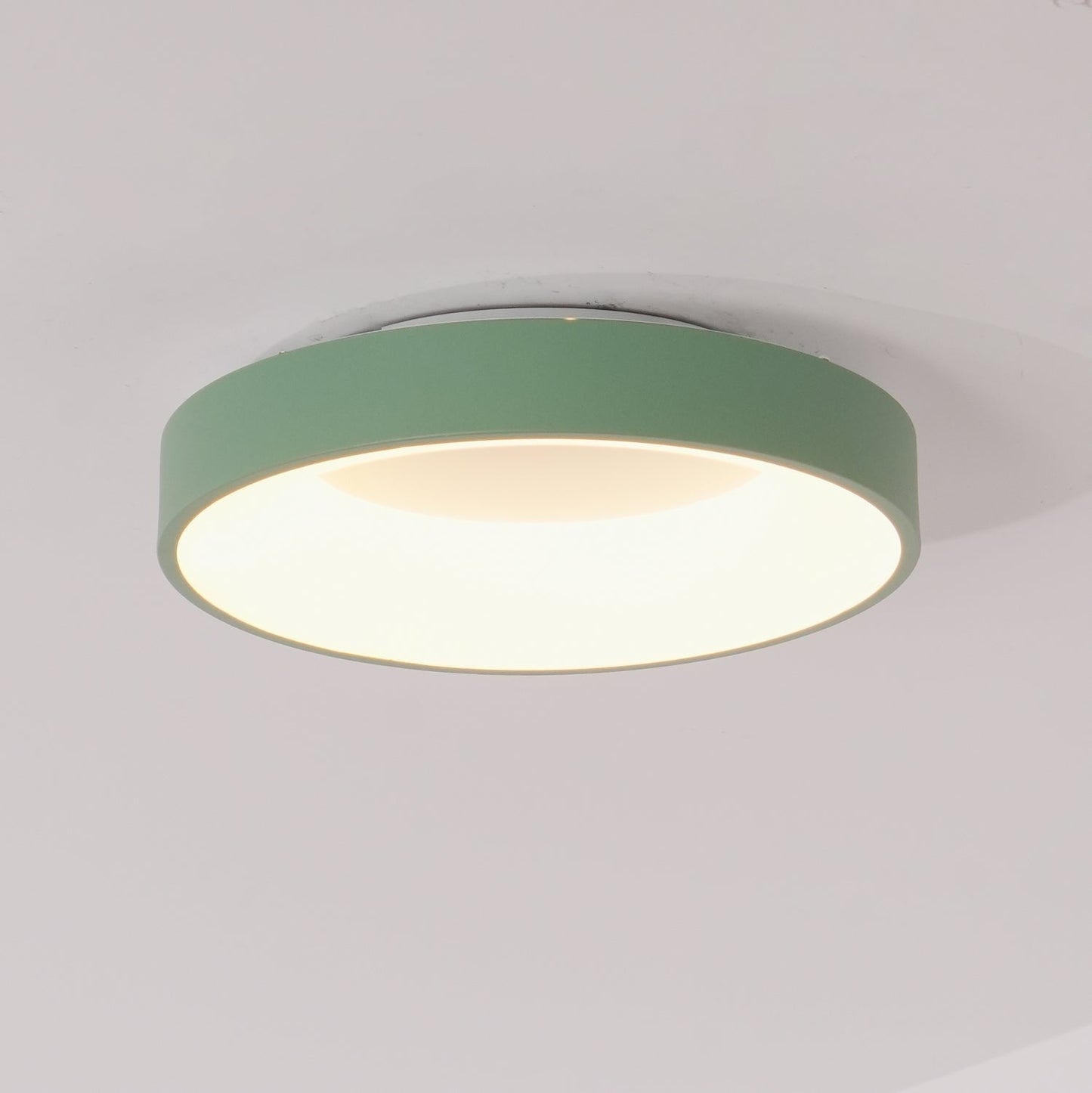 Modern Slim Iron & Acrylic LED Ceiling Light