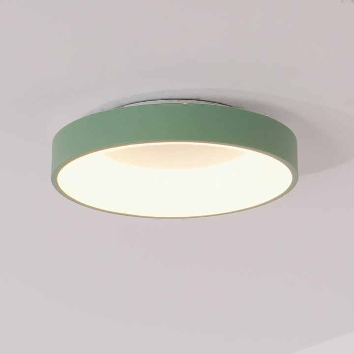 Modern Slim Iron & Acrylic LED Ceiling Light