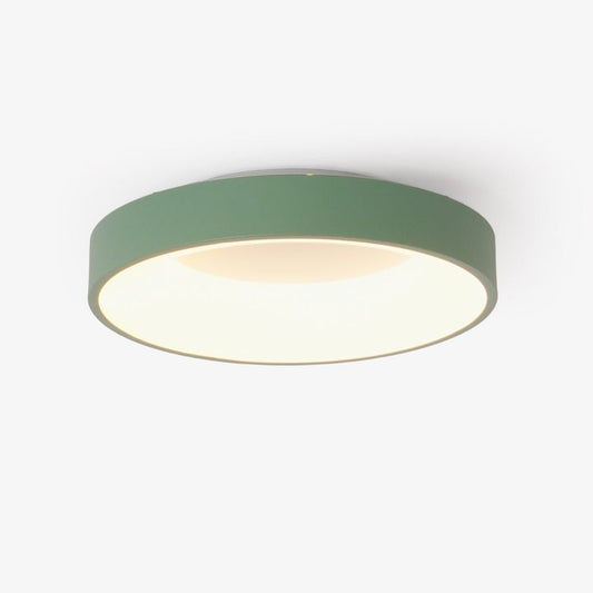 Modern Slim Iron & Acrylic LED Ceiling Light