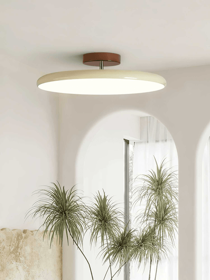 Drift Adjustable Ceiling Lamp