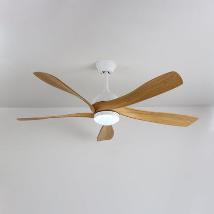 Avenli Ceiling Fan Light