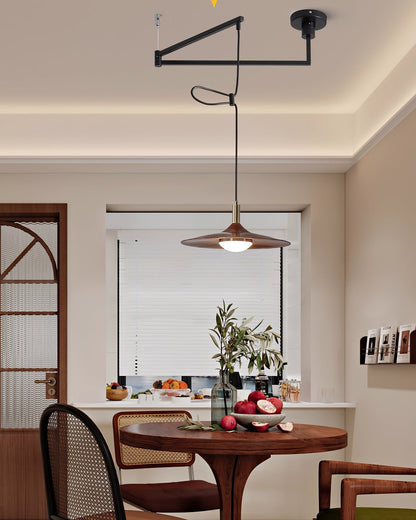 Crane Swing Arm Pendant Lamp