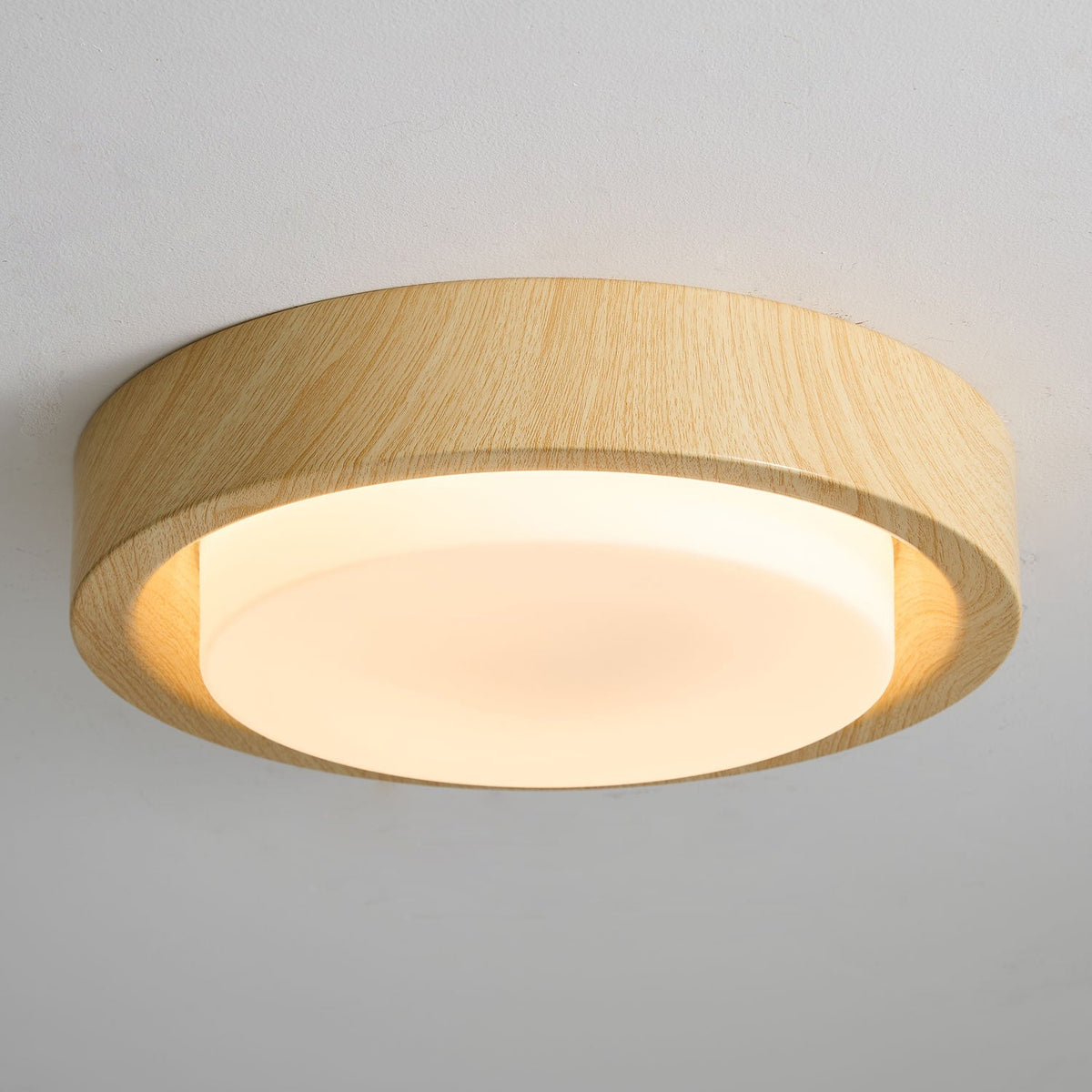 Lunor Ring Ceiling Light