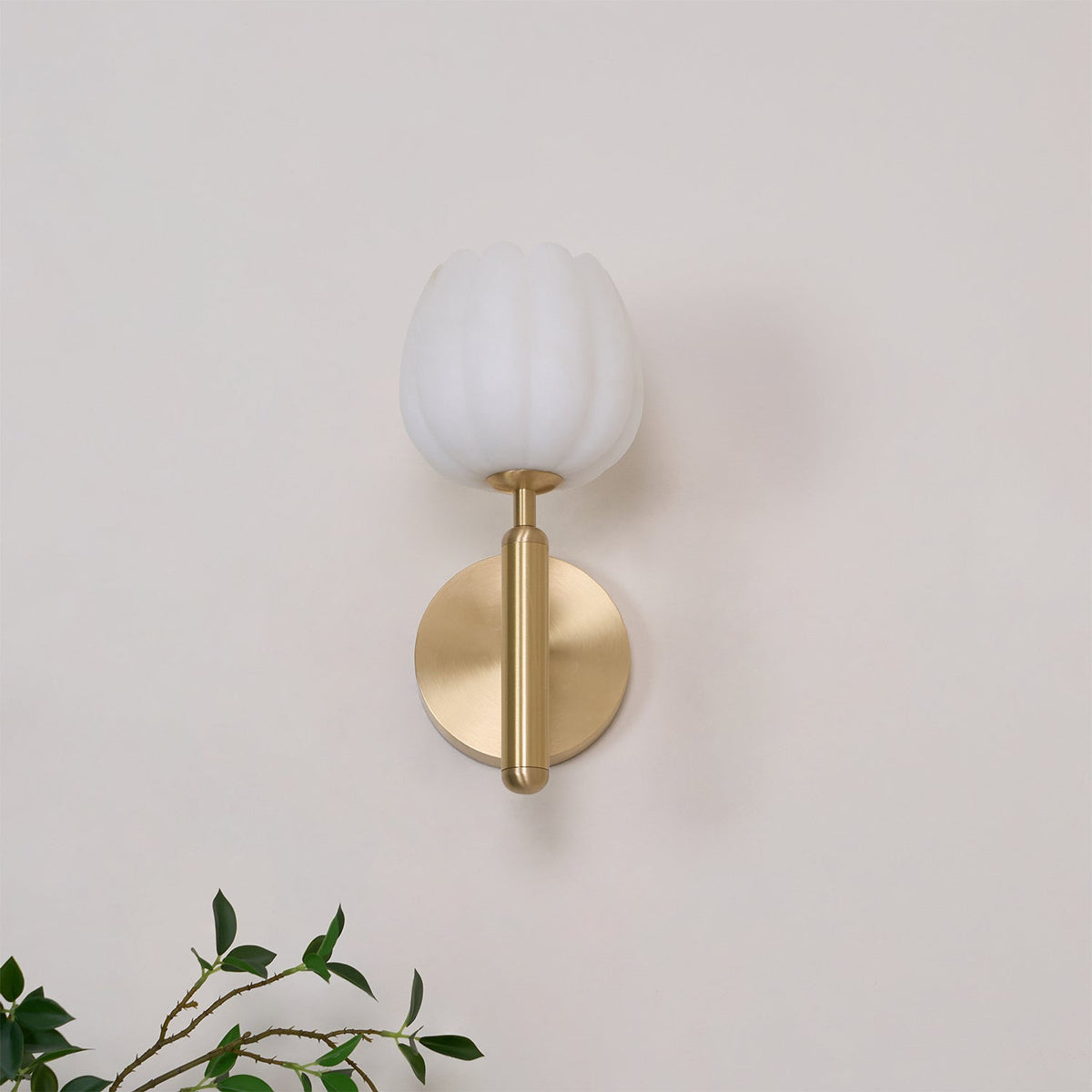 Mian Wall Lamp