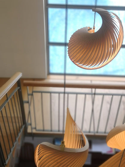 Nautilus Shell Pendant Light