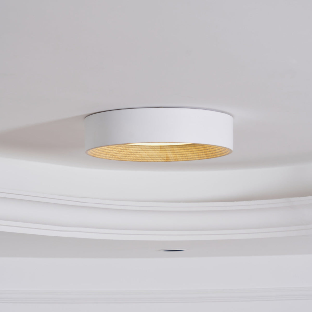 Oreen Ceiling Lamp