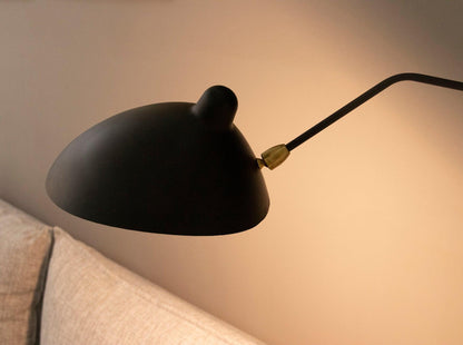 Versatile Arm Wall Sconce
