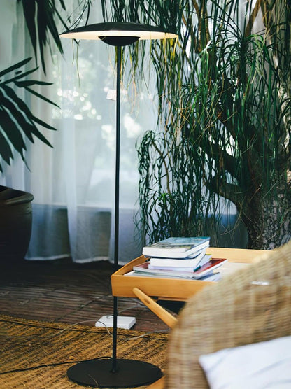 Adjustable Aluminum LED Directional Floor Lamp