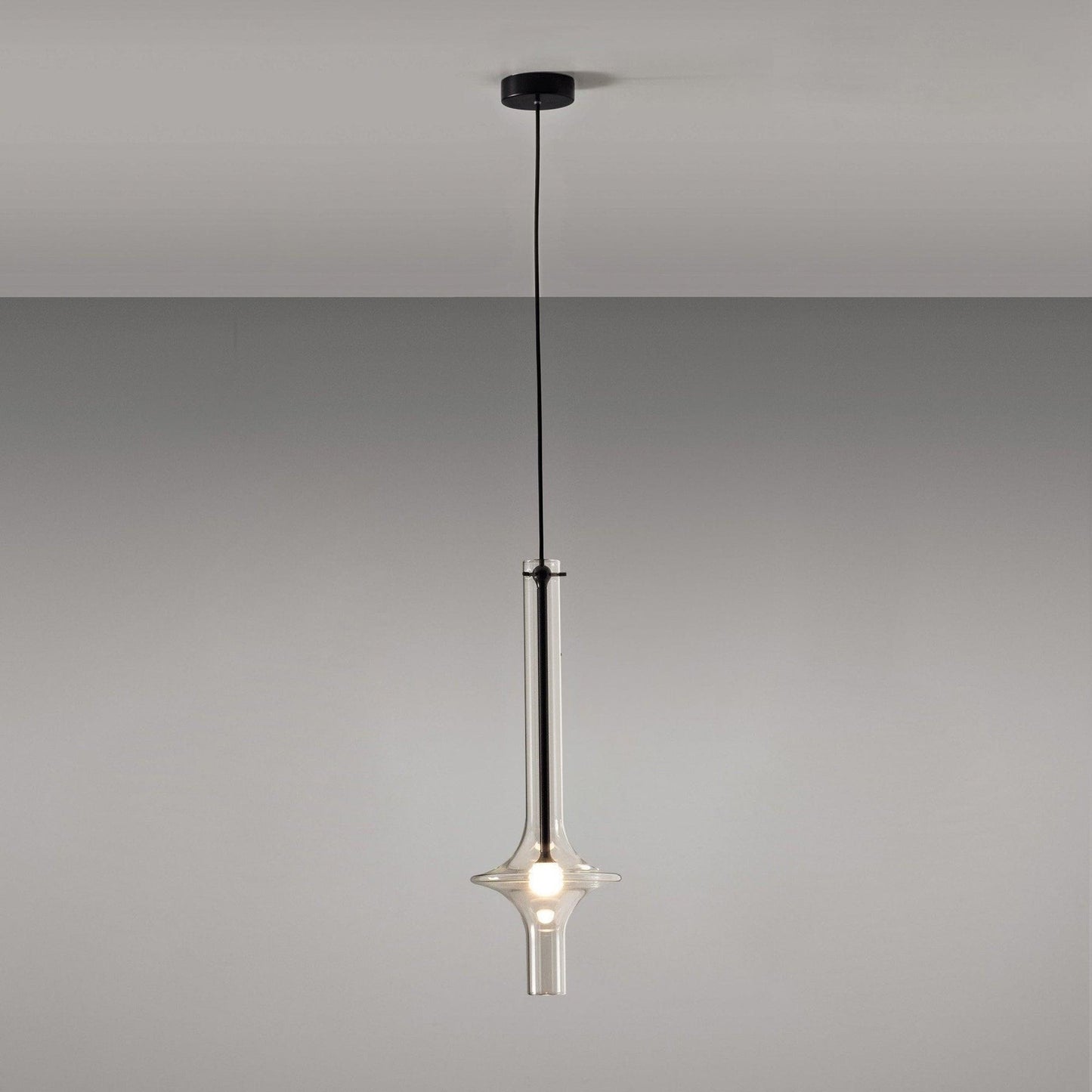 Adjustable Borosilicate Glass LED Suspension Lamp
