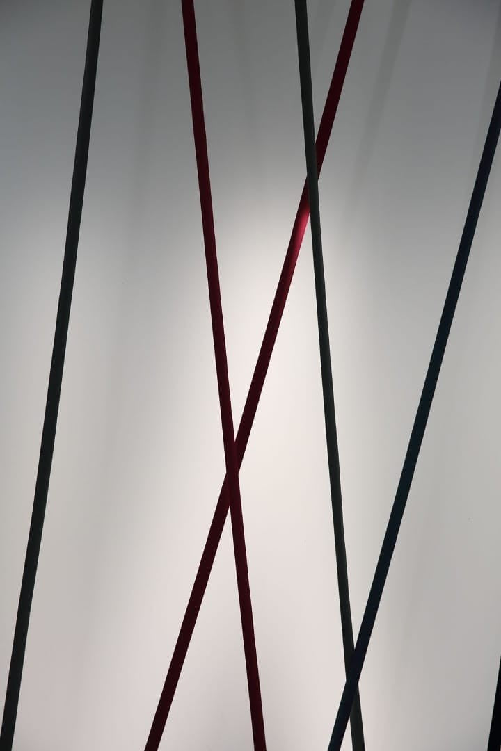 Adjustable LED Floor Lamp with Flexible Light Strip
