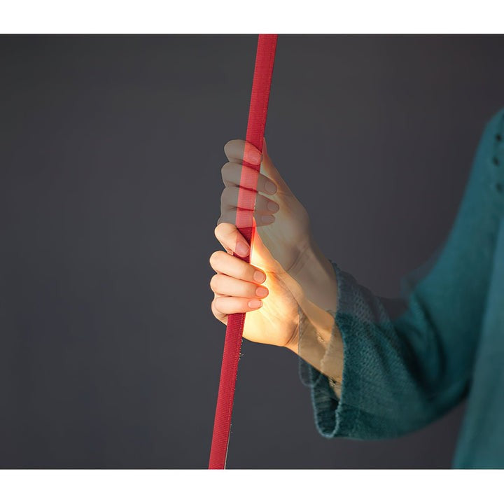 Adjustable LED Floor Lamp with Flexible Light Strip