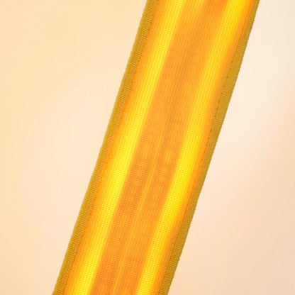 Adjustable LED Floor Lamp with Flexible Light Strip