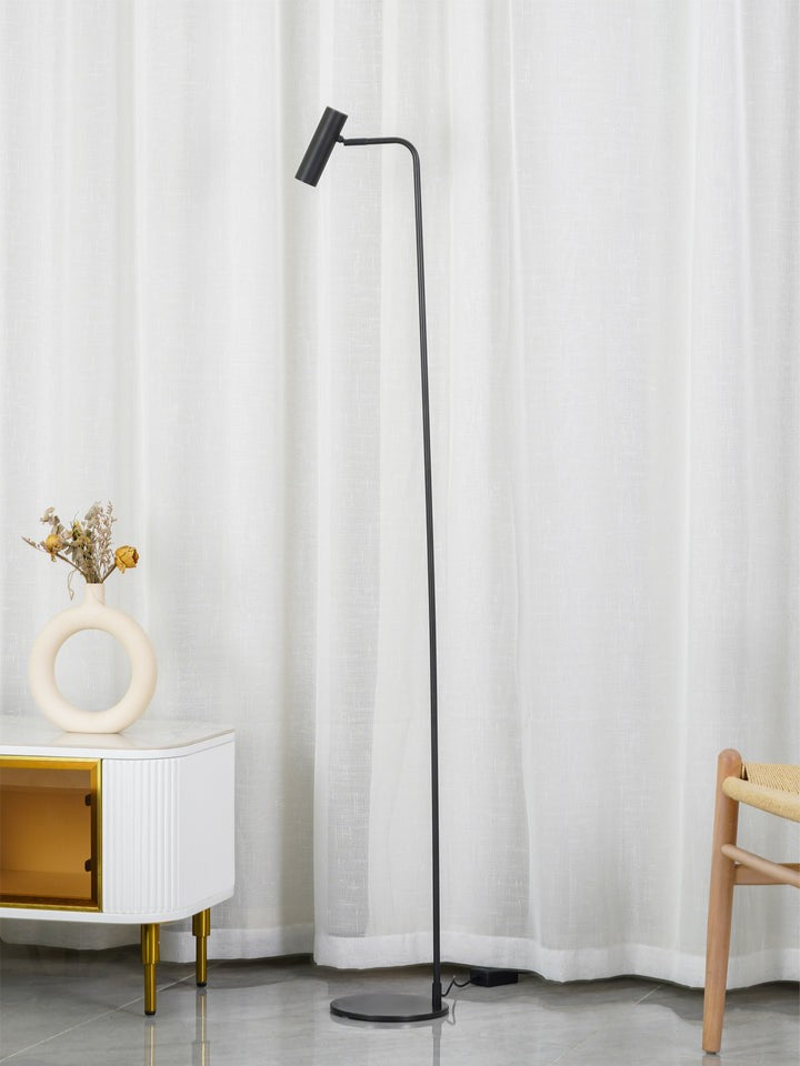 Adjustable Satin Brass LED Floor Lamp - Three-Color Light