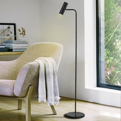 Adjustable Satin Brass LED Floor Lamp - Three-Color Light