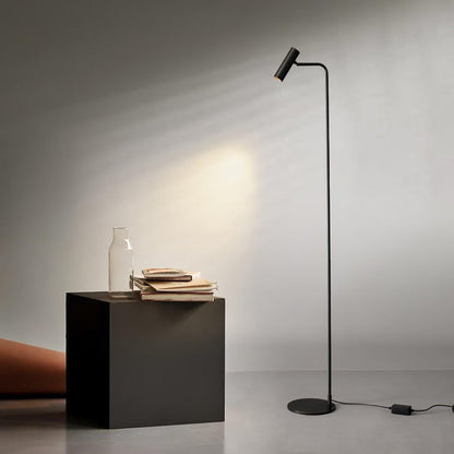 Adjustable Satin Brass LED Floor Lamp - Three-Color Light