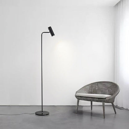 Adjustable Satin Brass LED Floor Lamp - Three-Color Light