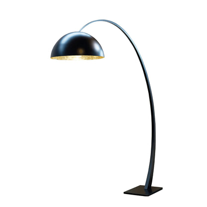 Black Arched Dome LED Floor Lamp