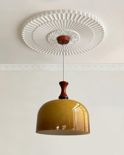 Brown Metal & Glass Down Pendant Light