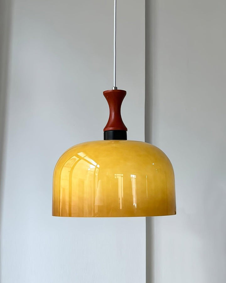 Brown Metal & Glass Down Pendant Light