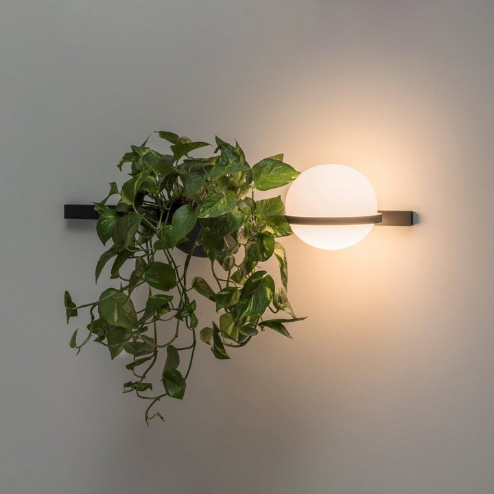 Celestial Globe Wall Sconce