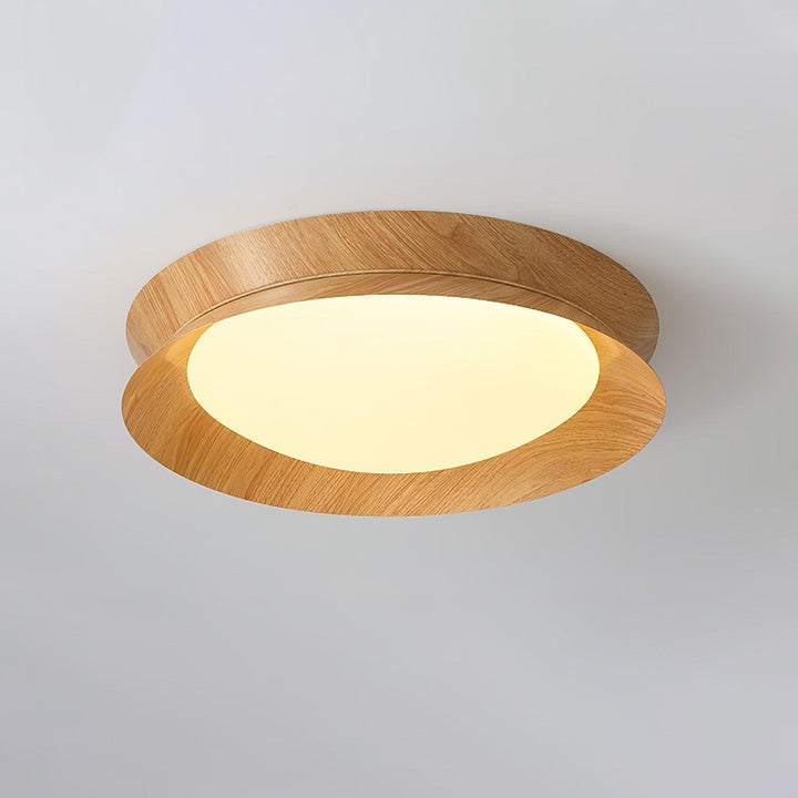Double Half-Round LED Flush Ceiling Light