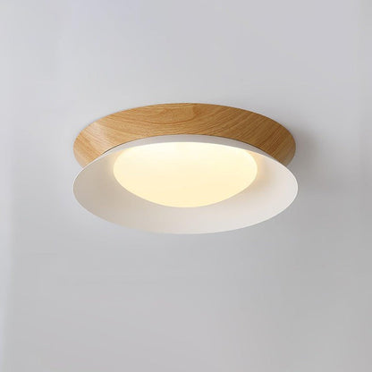 Double Half-Round LED Flush Ceiling Light