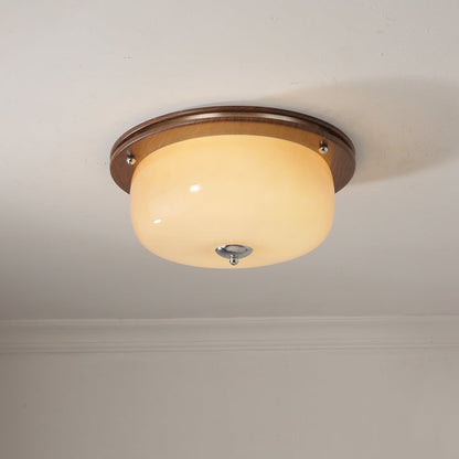 Frosted Glass Dome LED Flush Mount Light