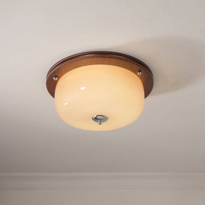Frosted Glass Dome LED Flush Mount Light