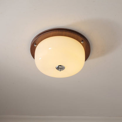 Frosted Glass Dome LED Flush Mount Light