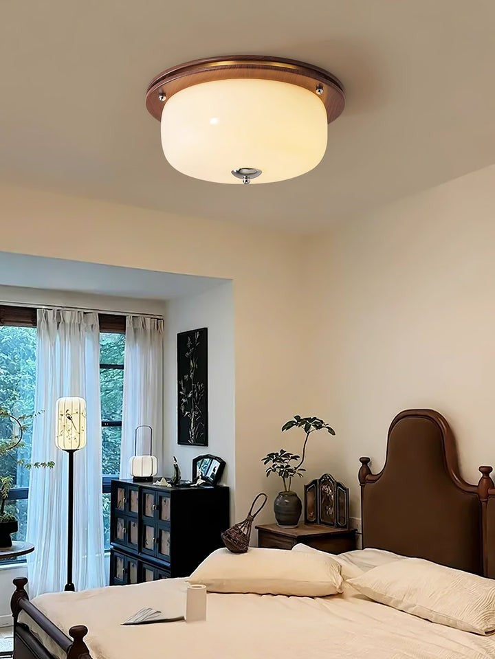 Frosted Glass Dome LED Flush Mount Light