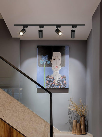 LED Adjustable Track Spotlight Ceiling Light