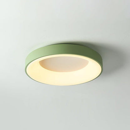 Modern Slim Iron & Acrylic LED Ceiling Light