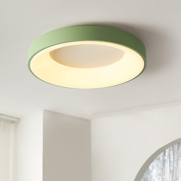 Modern Slim Iron & Acrylic LED Ceiling Light
