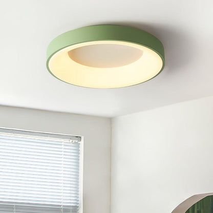 Modern Slim Iron & Acrylic LED Ceiling Light