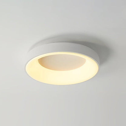 Modern Slim Iron & Acrylic LED Ceiling Light