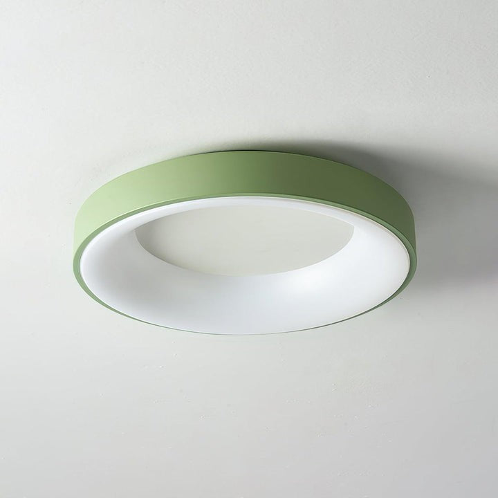Modern Slim Iron & Acrylic LED Ceiling Light