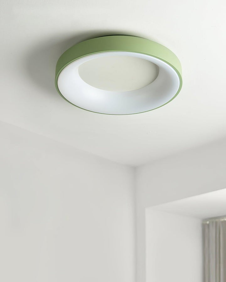 Modern Slim Iron & Acrylic LED Ceiling Light